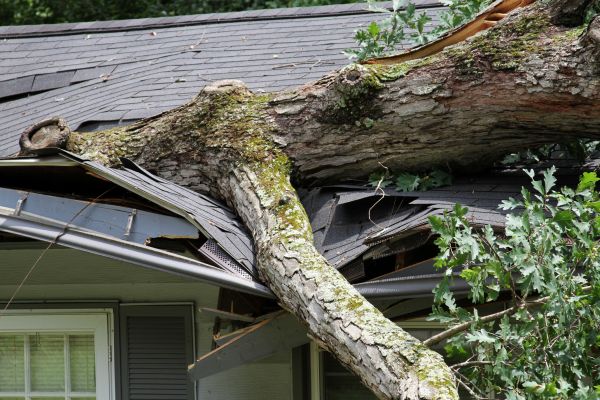 Storm Remediation in Howell