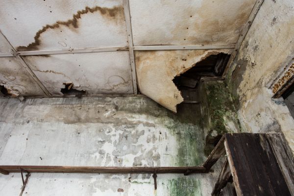 Water Damage Service in Howell