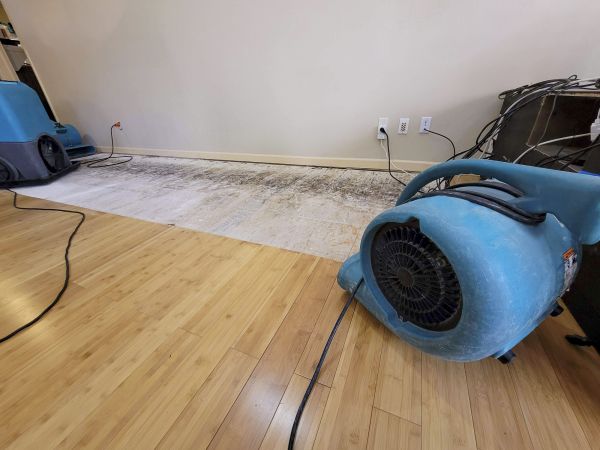 Water Damage Mitigation in Howell