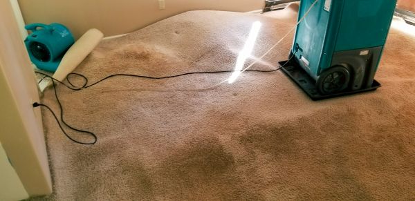 Carpet Water Extraction in Howell