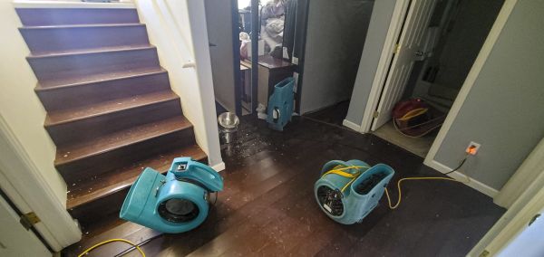Water Damage Remediation in Howell