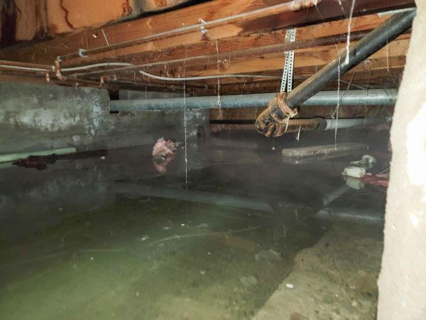 Water Mitigation Service in Howell
