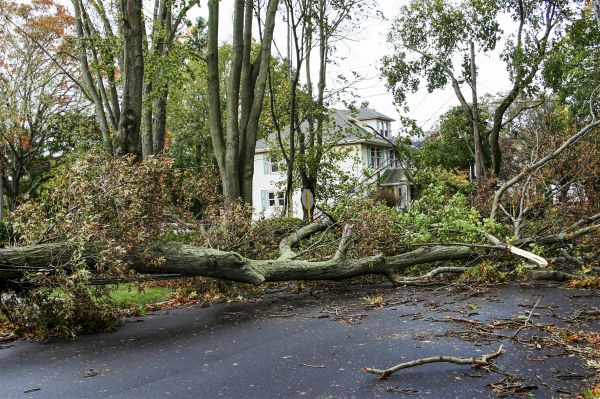 Tornado Damage Repair in Howell