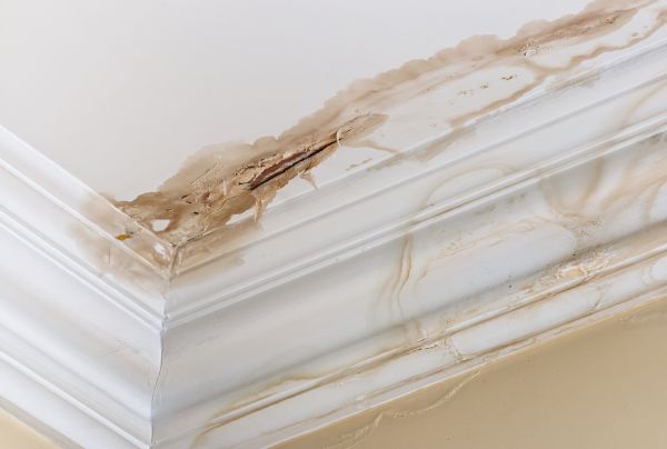 Water Damage Recovery in Howell